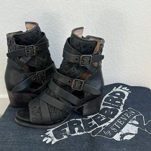 FREEBIRD BY STEVEN CHELSEY